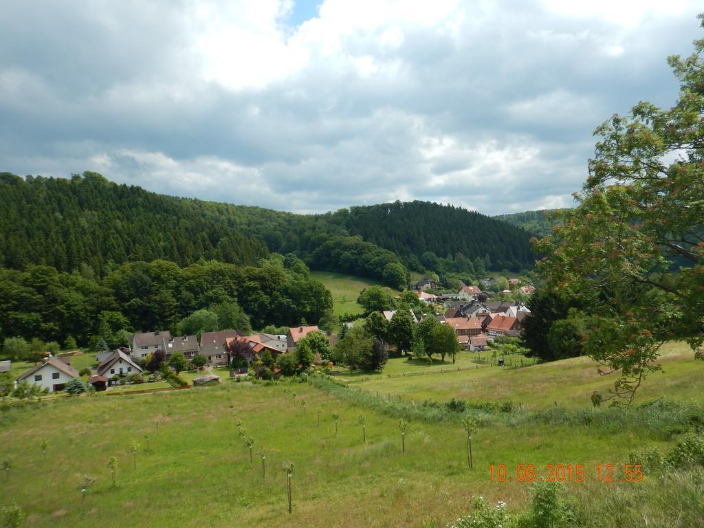 Delliehausen Gasthaus Koehlerhof מראה חיצוני תמונה